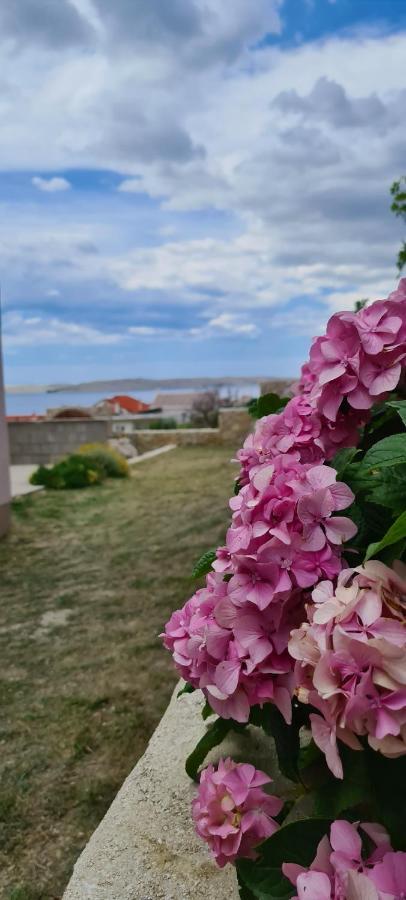Apartmani Cesar Rtina Exteriör bild
